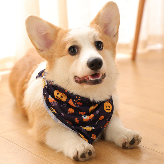 Disfraz de Segador para Perros Pequeños con Patrón de Calabaza Divertido - Image 6