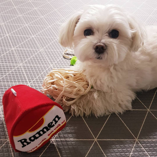 Juguete Interactivo de Enriquecimiento Olfativo para Perros - Comedero Lento con Diseño Coreano - Image 5