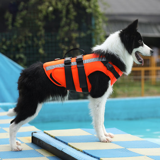 Traje Refrescante de Seguridad para Perros Grandes y Pequeños - Image 10
