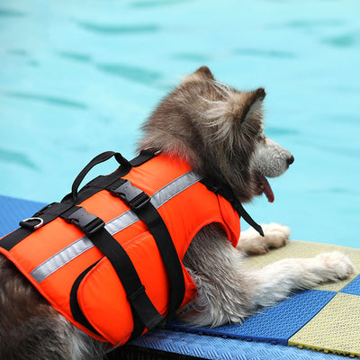 Traje Refrescante de Seguridad para Perros Grandes y Pequeños - Image 5