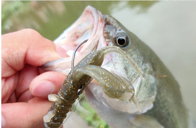 Camarón Artificial Sumergible 3.5" - Cebo Blando de Alta Densidad para Pesca de Agua Dulce - Image 7