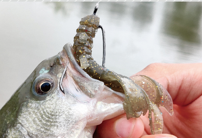Camarón Artificial Sumergible 3.5" - Cebo Blando de Alta Densidad para Pesca de Agua Dulce - Image 9