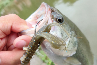 Camarón Artificial Sumergible 3.5" - Cebo Blando de Alta Densidad para Pesca de Agua Dulce - Image 4