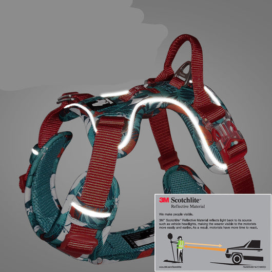 Arnés Pectoral Ajustable para Perros Grandes - Chaleco de Paseo - Image 6