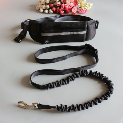 Conjunto Deportivo de Dos Piezas con Correa de Tracción para Mascotas - Image 7