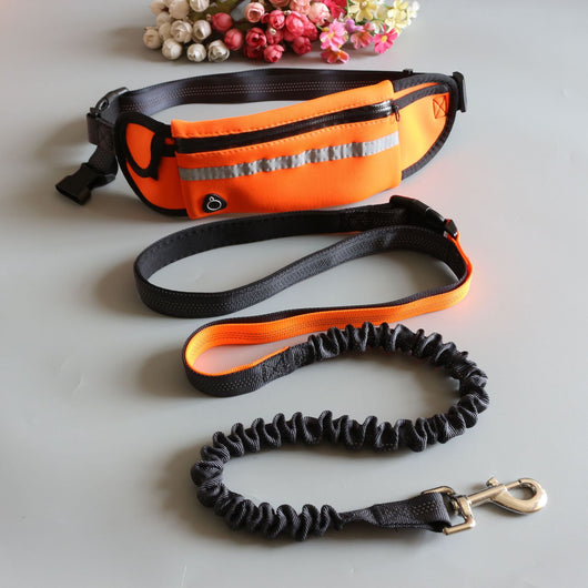 Conjunto Deportivo de Dos Piezas con Correa de Tracción para Mascotas - Image 12