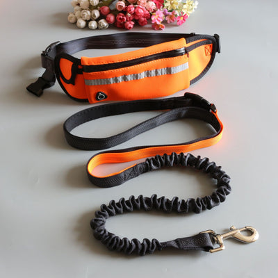 Conjunto Deportivo de Dos Piezas con Correa de Tracción para Mascotas - Image 5