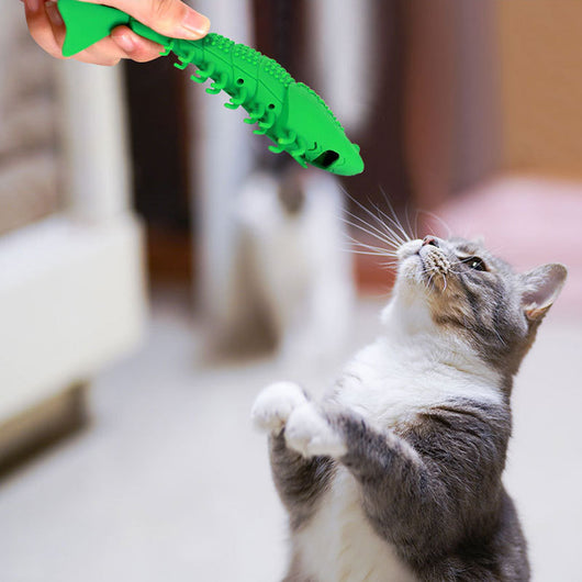 Juguete Dental de Silicona para Gatos - Forma de Camarón con Hierba Gatera - Image 8