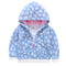 Flor Azul 12 M