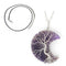 Natural Crystal Moon Pendant Morado necklace