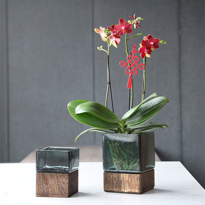 Jarrón de Cristal Transparente con Base de Madera - Arreglo Floral Moderno - Image 6