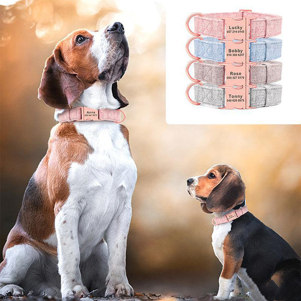 Collar Antiextravío con Grabado para Perros Medianos y Grandes