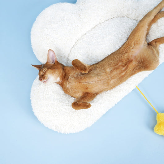 Colchoneta Nube para Mascotas - Cama Cómoda para Gatos - Image 9