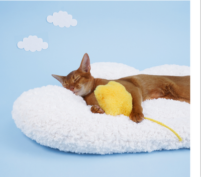 Colchoneta Nube para Mascotas - Cama Cómoda para Gatos - Image 5