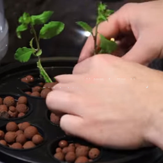 Sistema de Cultivo Hidropónico para Balcón - Huerto Vertical sin Tierra - Image 3