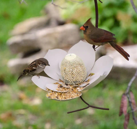 Comedero para Pájaros con Diseño de Pétalos - Image 4