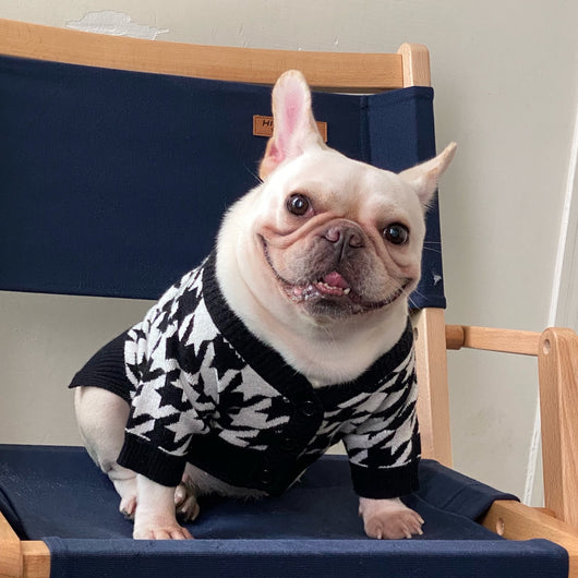 Suéter Abrigador Pet Tide para Perros y Gatos - Diseño Trendy Invierno - Image 9