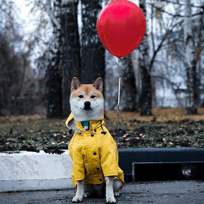 Impermeable Retro Británico para Perros - Abrigo Acolchado Resistente al Viento y la Lluvia - Image 7