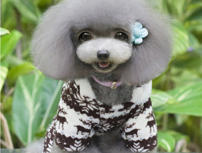 Ropa para Perros de Cuatro Patas - Diseño Elegante Ante - Image 2