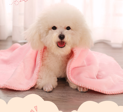 Mantas Cómodas para Perros - Descanso Perfecto - Image 10