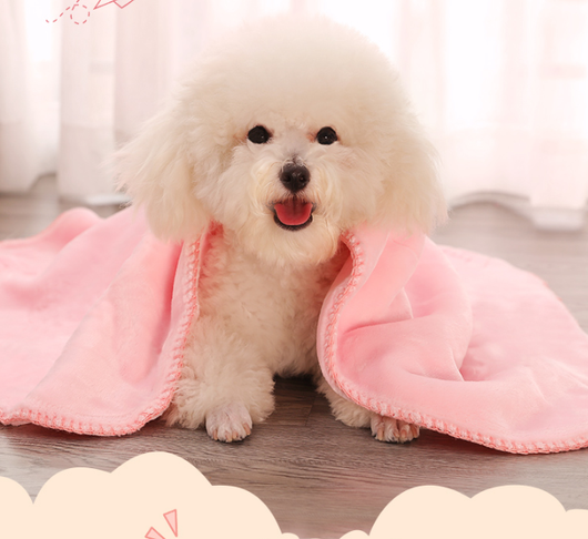 Mantas Cómodas para Perros - Descanso Perfecto - Image 10