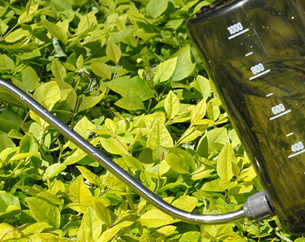 Regadera de Acero Inoxidable con Boquilla Larga para Plantas - Image 8