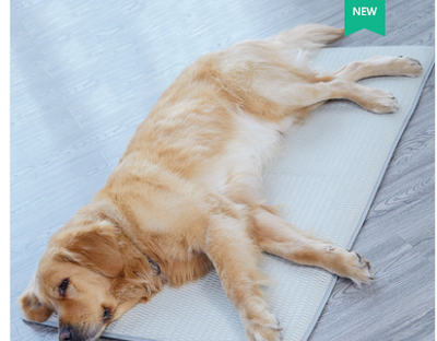 Colchoneta Refrescante para Perros - Almohadilla Transpirable 4 Estaciones Lavable - Image 9