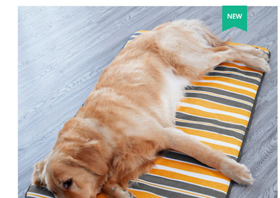 Colchoneta Refrescante para Perros - Almohadilla Transpirable 4 Estaciones Lavable - Image 2