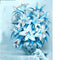 Photo Color 15 X 20 Cm Square Diamond