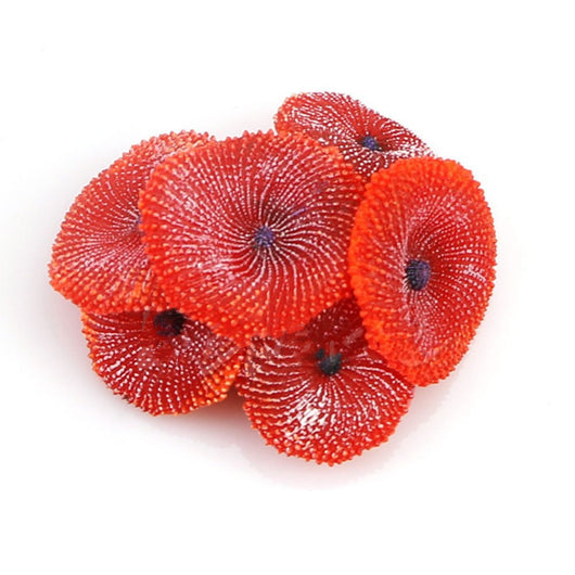 Decoración de Acuario con Coral - Equipo de Paisajismo Acuático - Image 14