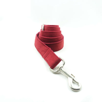 Collar de Tracción para Perro con Control Ergonómico - Image 9