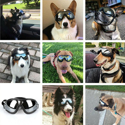 Gafas de Sol para Perros - Accesorios de Moda con Cadena Dorada - Image 9