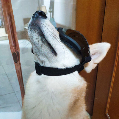 Gafas de Sol para Perros - Accesorios de Moda con Cadena Dorada - Image 3