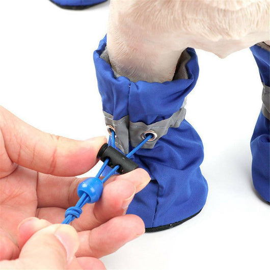 Zapatos y Calcetines para Perros Transpirables Antideslizantes Todo Clima