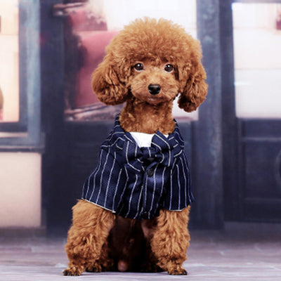 Vestido Fresco para Perros Pequeños - Diseño Ligero Verano - Image 4