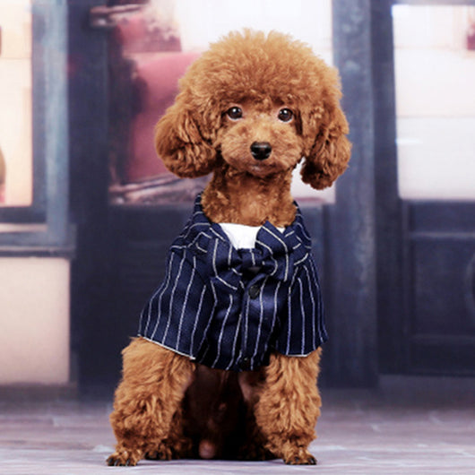 Vestido Fresco para Perros Pequeños - Diseño Ligero Verano - Image 4