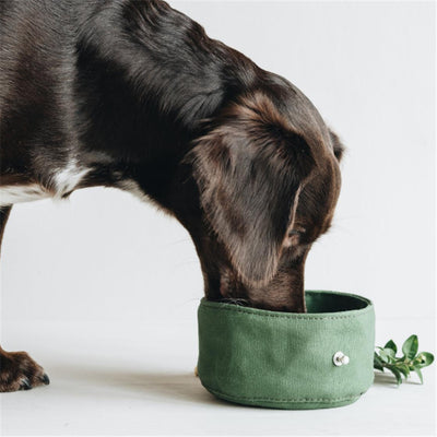 Comedero Portátil Plegable Impermeable para Perros - Image 13