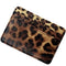 Leopardo