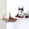 Puente Colgante para Gatos con Escalera de Cuerda y Marco de Escalada Mural