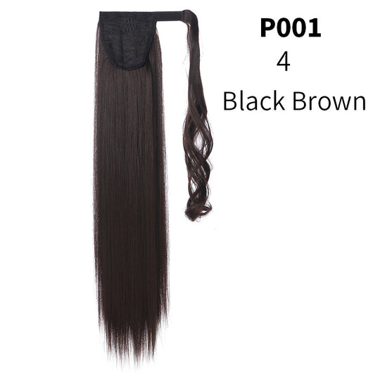 Coleta Postiza de Seda Mate Realista Cabello Liso Largo con Velcro - Image 22