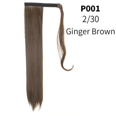 Coleta Postiza de Seda Mate Realista Cabello Liso Largo con Velcro - Image 21