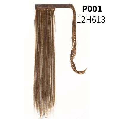 Coleta Postiza de Seda Mate Realista Cabello Liso Largo con Velcro - Image 24