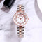 Reloj de Moda Rueda de la Fortuna - Set de Regalo Elegante