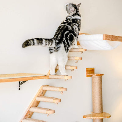 Escalera Gatera Multiusos de Madera de Pino con Plataformas - Image 11