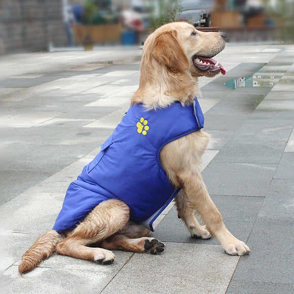 Chaleco Impermeable para Perros - Abrigo Térmico para Mascotas Pequeñas, Medianas y Grandes