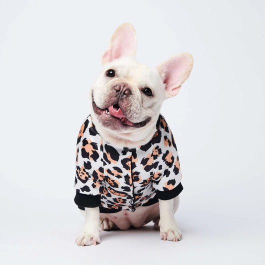 Abrigo Acolchado para Perros - Diseño Trendy para Otoño e Invierno