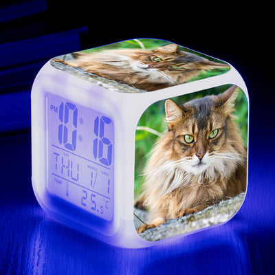 Reloj Despertador Cuadrado Multicolor para Gatos - Image 37