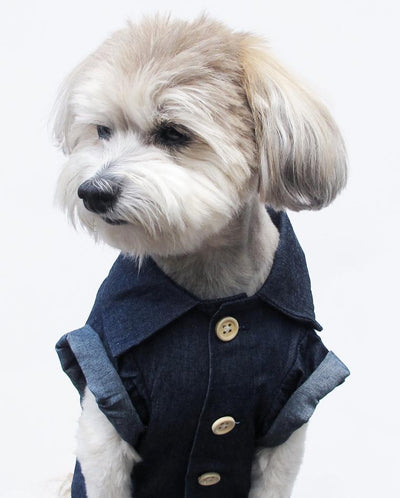 Ropa de Verano para Perros Pequeños con Estampados Fashion en Algodón - Image 3