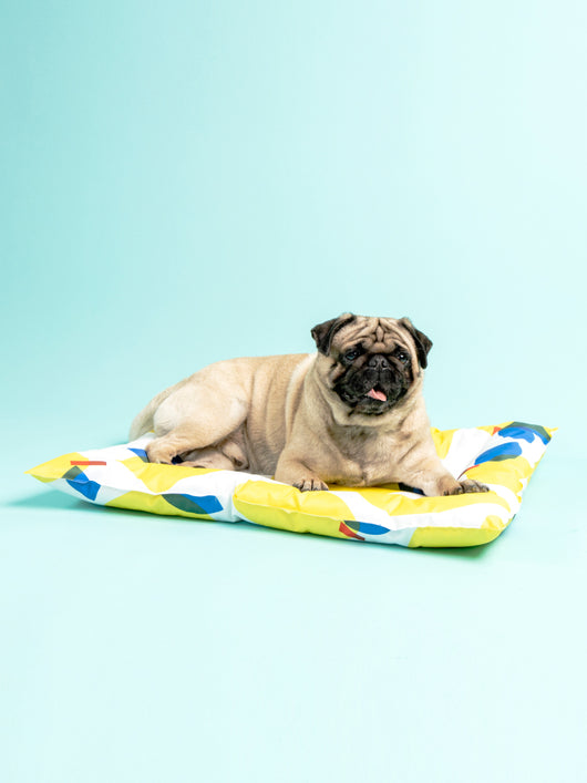 Colchoneta Refrigerante para Mascotas - Gel Enfriador sin Pegajosidad - Image 9