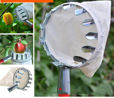 Recolector de Frutas Portátil con Canasta - Herramienta de Cosecha para Cítricos y Frutas - Image 8